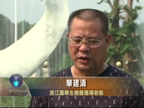 中国通膨失控猪农挣扎